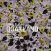 Ooakland - Sonic Future