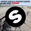 Tremor (Sensation 2014 Anthem) - Dimitri Vegas&Martin Garrix&Like Mike