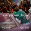 While You Were Sleeping - Erik Stephen&Alyssa Wade