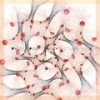 Fracture V. 2 (Original Mix) - Pavel Prokudin