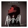 Animal - Conor Maynard&Wiley