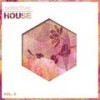 Raggae Muffin (Future Mouse Remix) - DJ Vartan&Techcrasher
