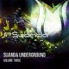 Desert Rain (Radio Edit) - Symsonic&Lucid Blue&Sunset