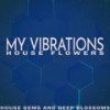 Incubated Baby (House Definition Mix) - House Elementz