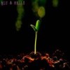 Same (Explicit) - Wells&Tristen Wells&Blu Heffner