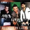 Sus Manutele - Liviu Guta&Asu'&TICY