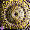 I Can See Clear Now - No Kontakt