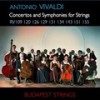 I. Allegro - Budapest Strings