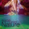 Country Birds - Sounds Of Nature