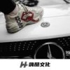 生活就是一个游乐场 (抖音版) - 涛少君