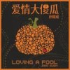 爱情大傻瓜 - 孙耀威