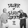 Cine - Deliric&Silent Strike