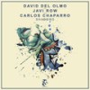 Shadows - David del Olmo&Javi Row &Carlos Chaparro