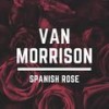 Brown Eyed Girl (Live) - Van Morrison
