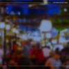 Urban Forest - Asking Altotas