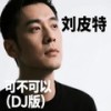 可不可以 (DJ版) - 刘皮特