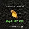 Would Not Wife (feat. Double G) (Explicit) - BRYZ&Double G
