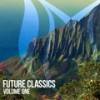Someday (Temple One Remix) - Roman Messer&Robin Vane&Temple One
