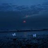 风吹雾 (trapqueen尺八融合版) - DJMOUN