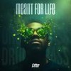 Meant For Life - Erio