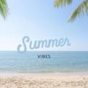summerbeat - ametrix&q side
