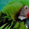 Astaxa (Deep Piano Mix) - Francisco Ruxo