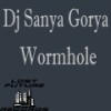 Wormhole (Original Mix) - Dj Sanya Gorya