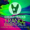 Searching For The Meaning (Radio Edit) - Dave Yarrow