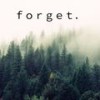 Forget About It, It's Fine Now - L3D
