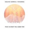This Is What You Came For (Mike Destiny Bootleg) - Mike Destiny&Calvin Harris&Rihanna