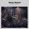 You Would (Original Mix) - Thomas Schwartz&Fausto Fanizza