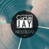 Needed U (Radio Edit) - Curtis Jay