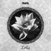 Lotus - Pnfa