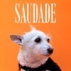 Saudade - Neon Club&Valiente