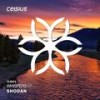 I Don't Need You - Shodan