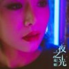 夜之光 (伴奏) - 花姐