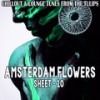 Salviamo Haiti (Haiti Lounge Mix) - Cosmic Ray