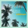Tropical House Instrumental - Krishan