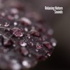 Rain Symphony - Sounds Of Nature