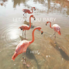 ily (i love you baby) (Remix) - HEST