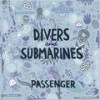 Crows In Snow - Passenger