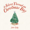 A Silver Thread On Christmas Day - Josh Pyke